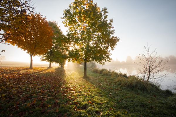 Rybník Stráž nedaleko FitFarmy